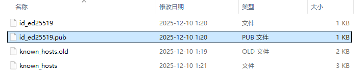 image-20251211043146904